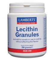 SOJA LECITIN granulat (fosfatidylinositol kolin tillskott) (250gram)